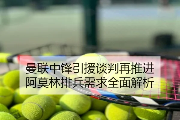 曼联中锋引援谈判再推进 阿莫林排兵需求全面解析